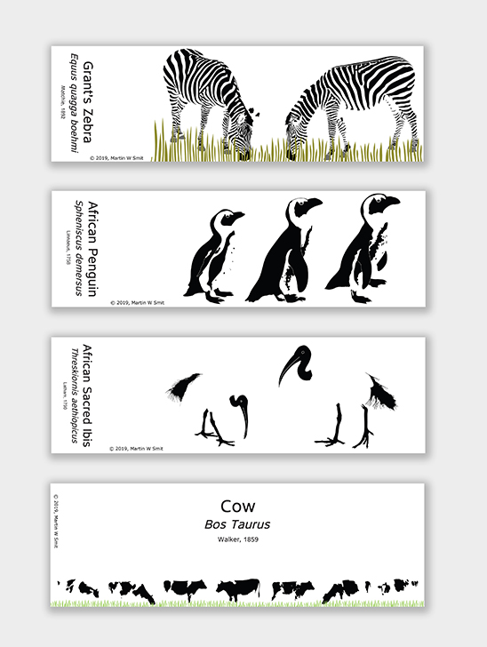 Bookmark Grant's Zebra, African Penguin, African Sacred Ibis and Cow