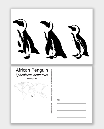 Postcard Penguin