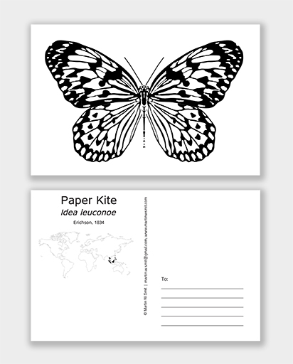 Posrcard Paper Kite